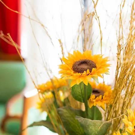 Sun Riviera מלון 4*